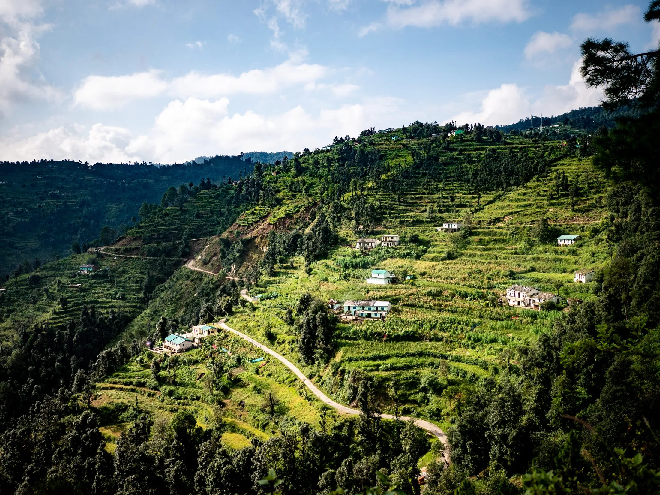 A terraced Himalayan hillside, scattered houses and a road winding between the fields