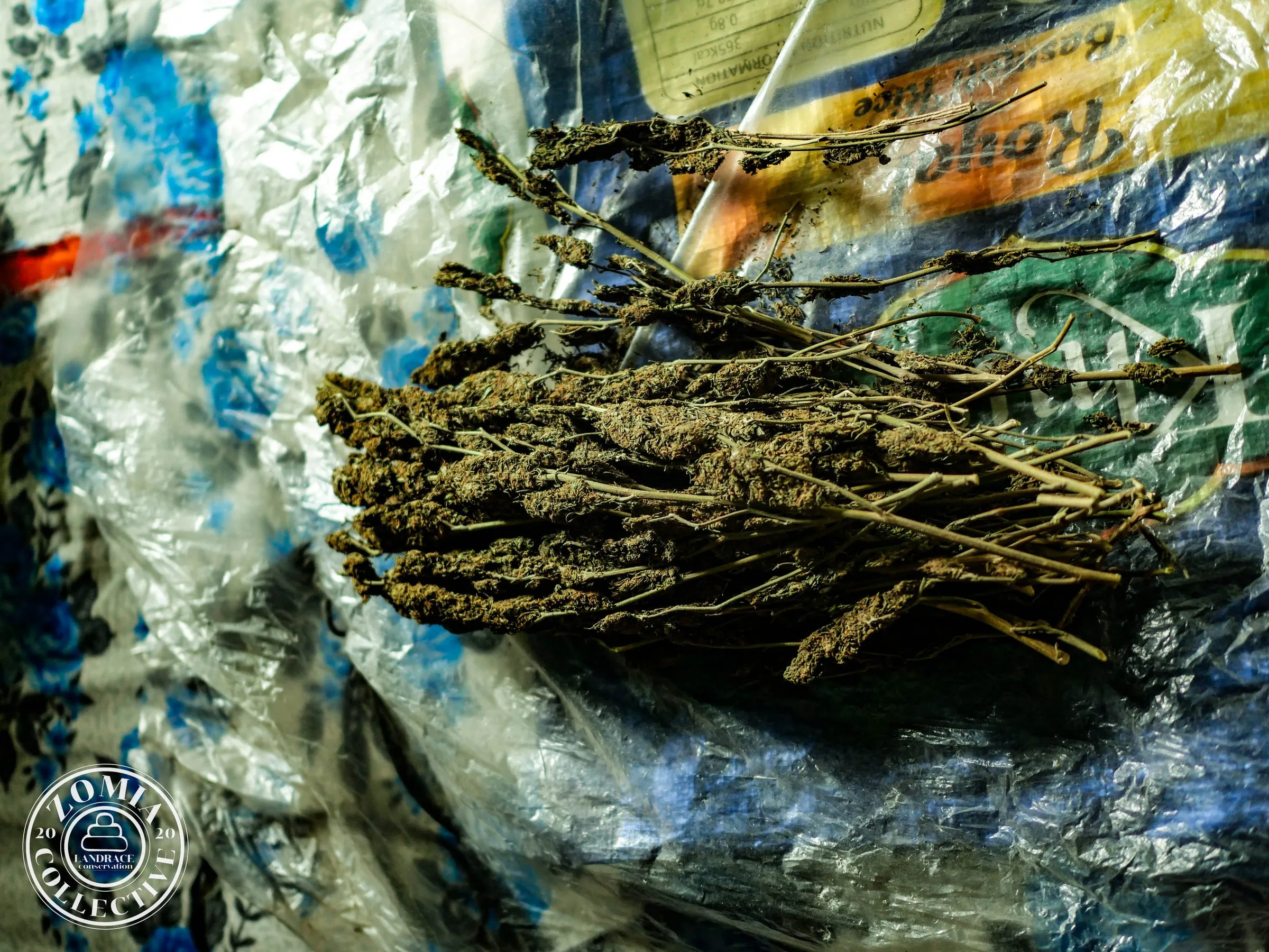 Quality #2(https://www.zomiacollective.com/blog/hashtags/2) Local Landrace Ganja