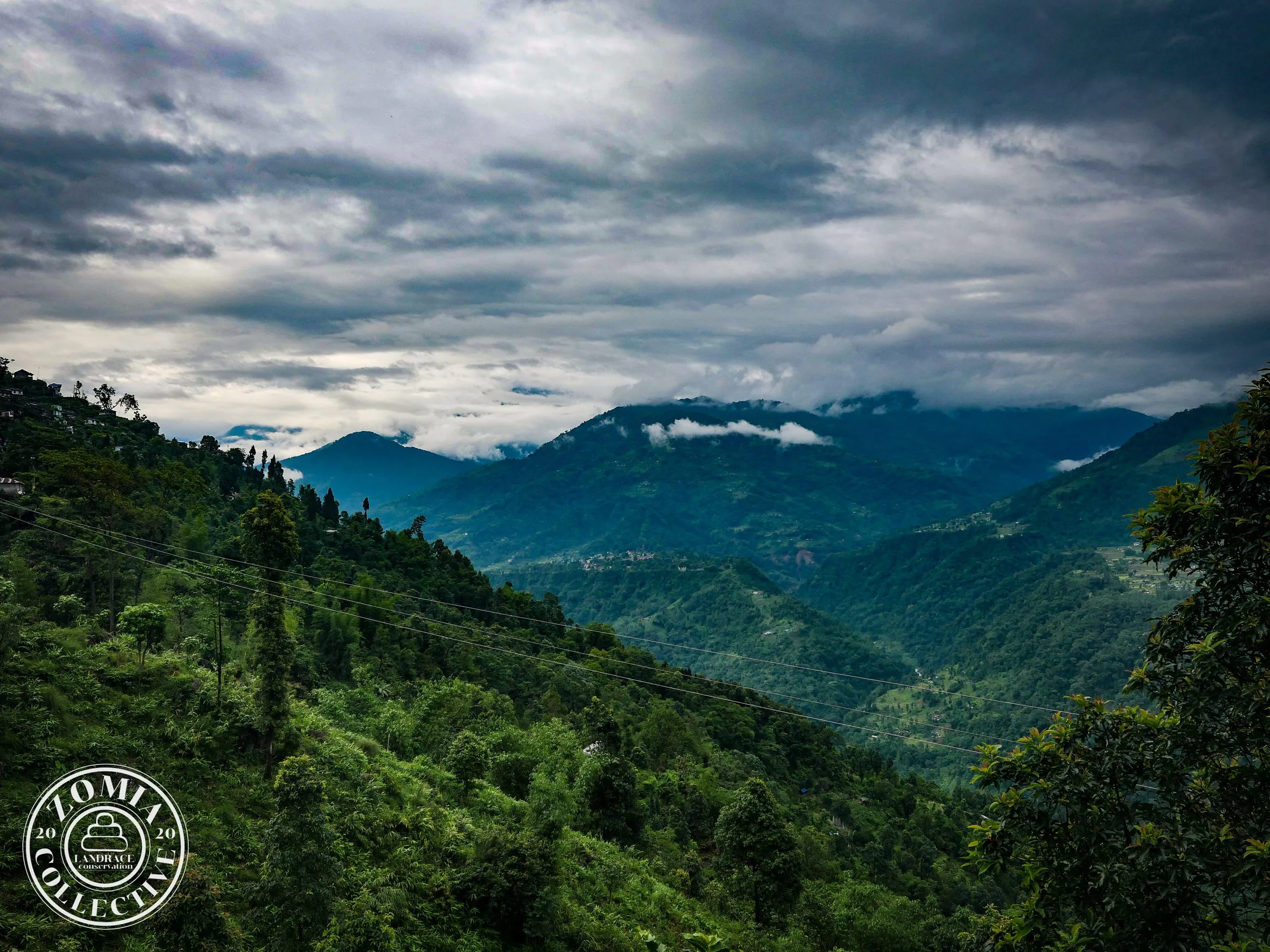 Looking towards Bhutan from Suruk in the Kalimpong HIlls