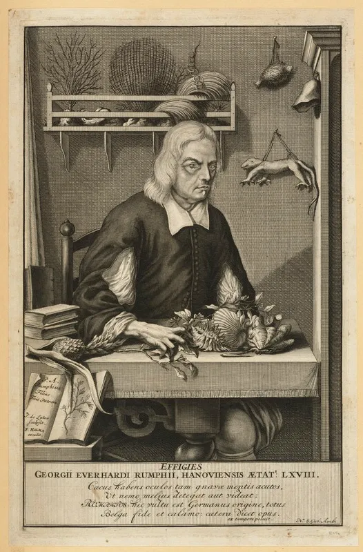 Georg Eberhard Rumphius, painted by his son Paul August around 1695. Rumphius had been blind for twenty-five years by this point.