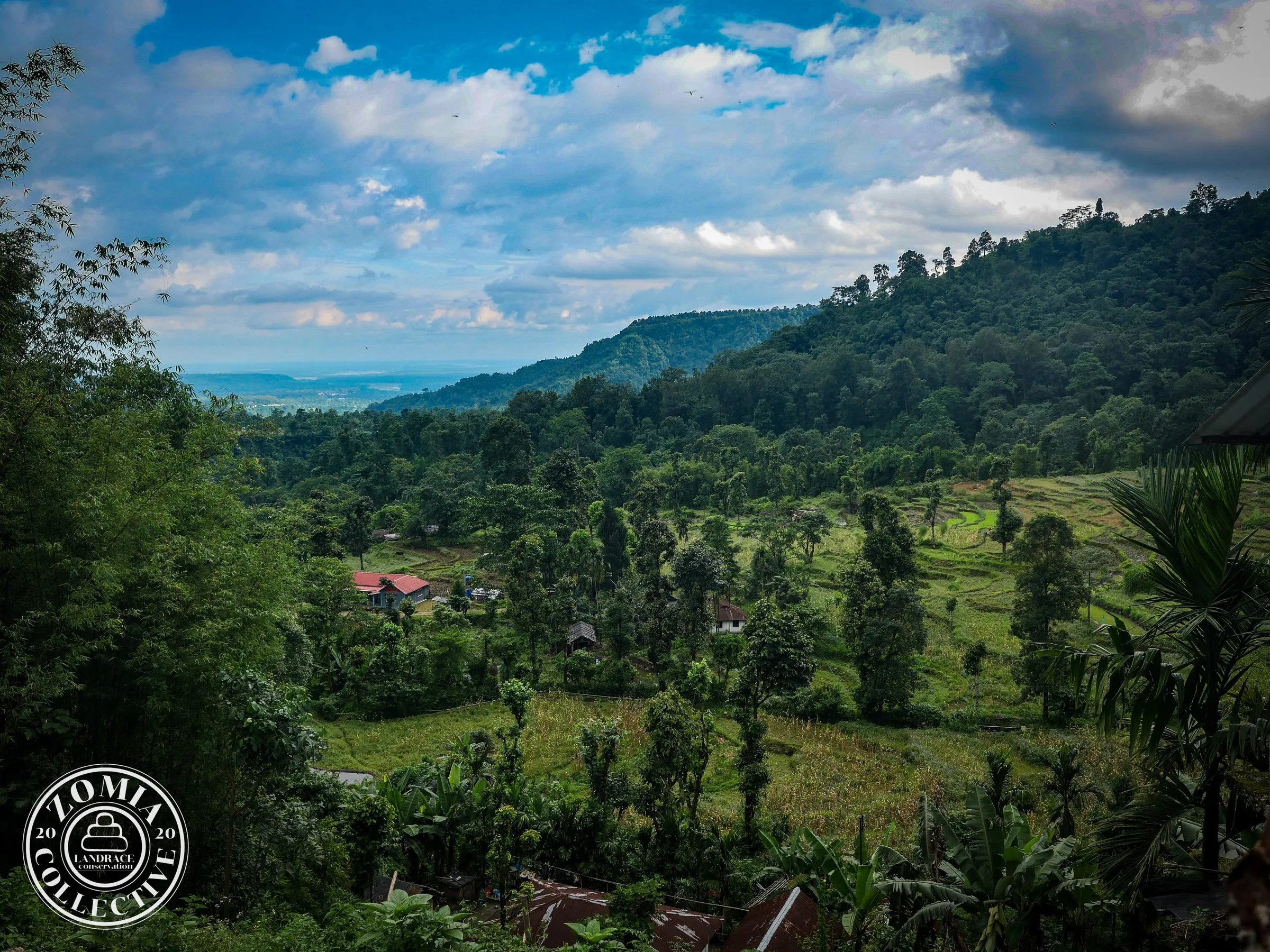 Looking down towards the Jaldhaka basin, past the upland rice paddies from a ridge below Paren Village