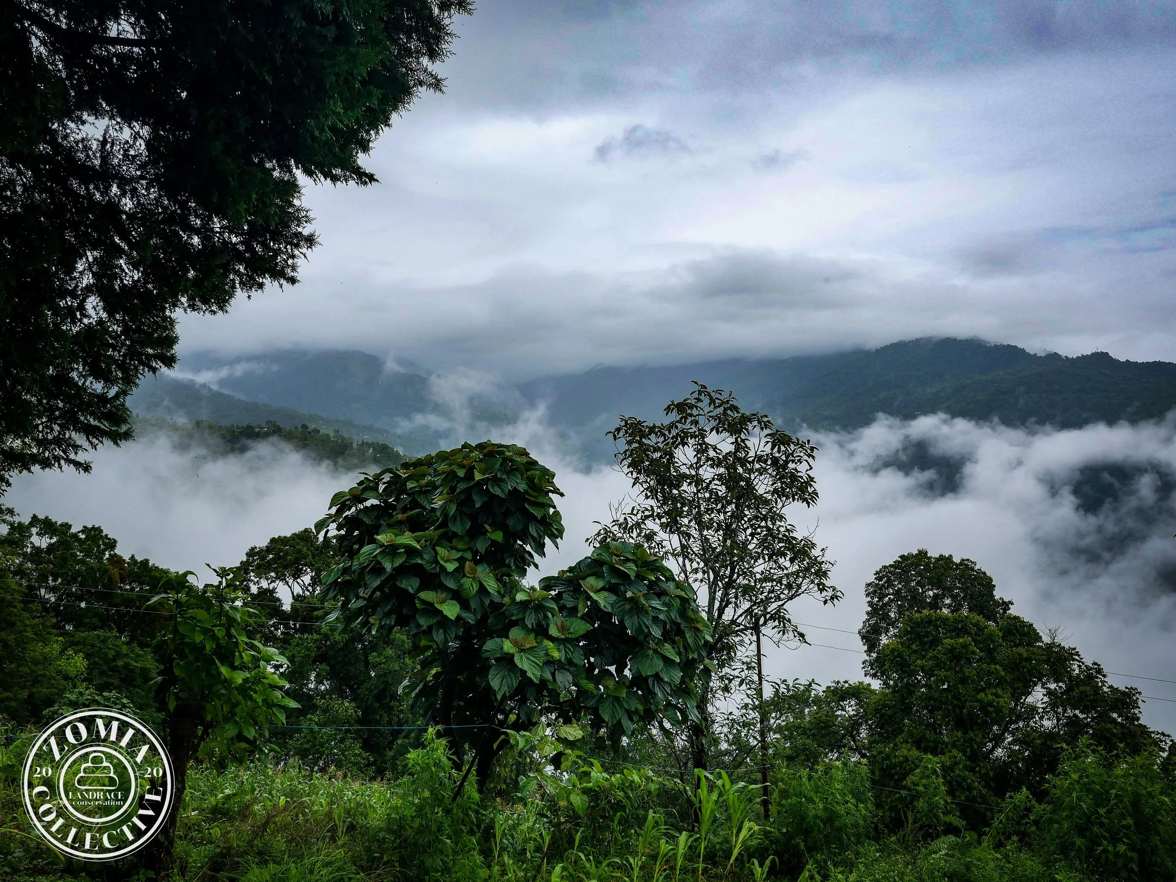 Chisang, photographed in the morning