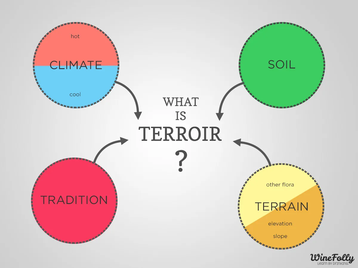 As this graphic demonstrates, ‘Terroir’ is not a terribly hard concept to understand. Credit & Copyright: Winefolly