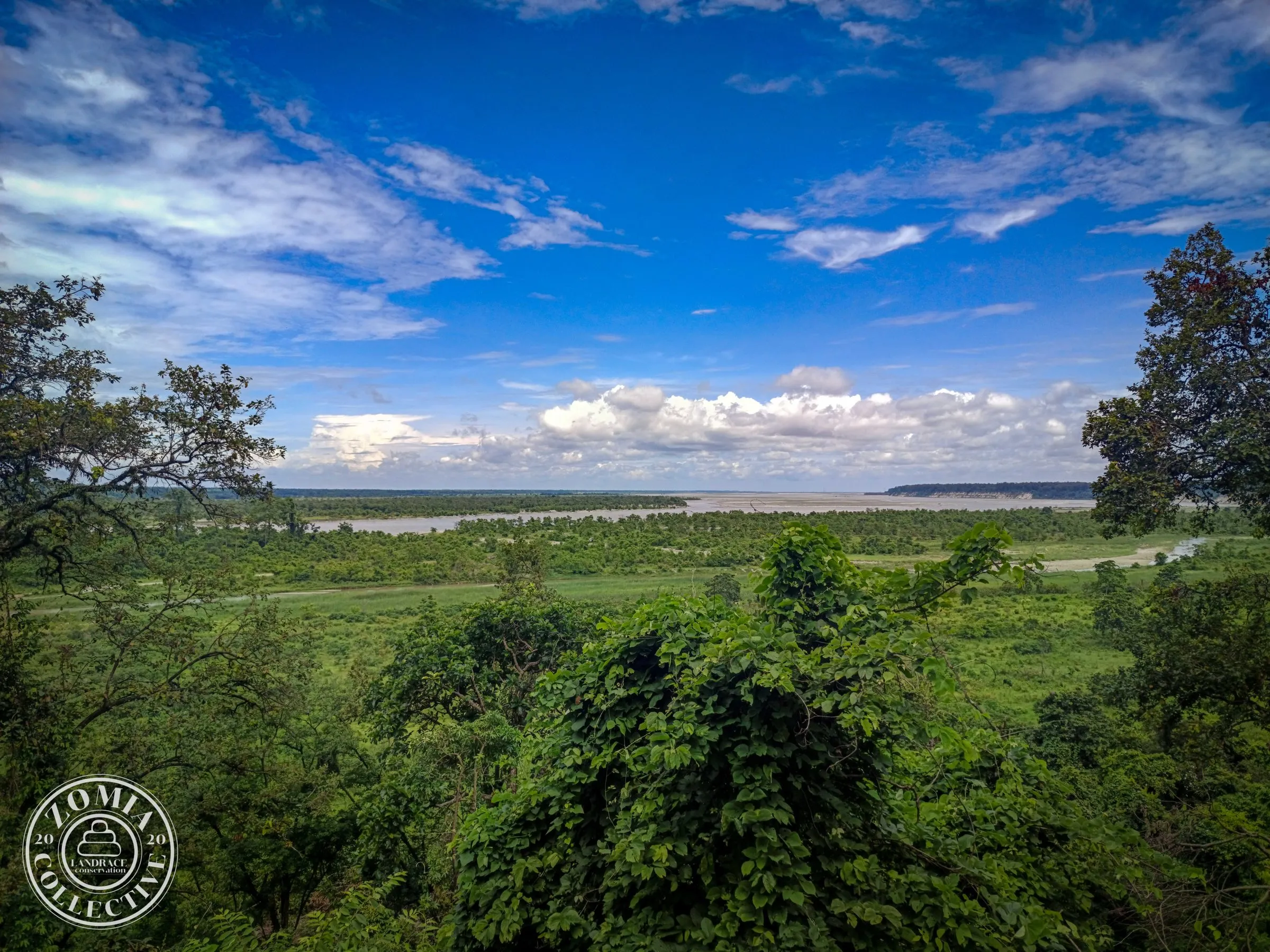 Looking down the Teesta river from Sevoke Forest