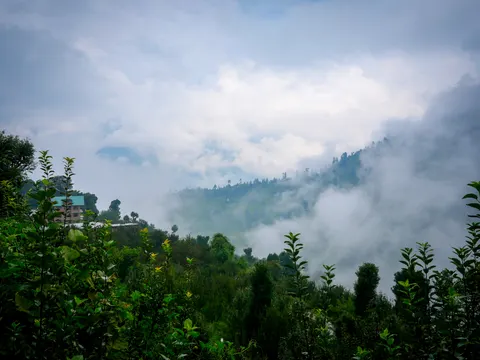 A forested ridge with cloud pouring over the crest, a house with a green roof at the left above the trees and apple trees and scrub filling the lower half of the frame.