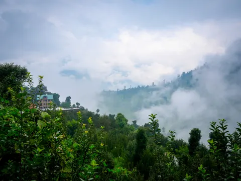 A green ridge under thick white cloud, a house with a green roof and pink walls on the shoulder at the left and apple trees and rough scrub across the foreground.