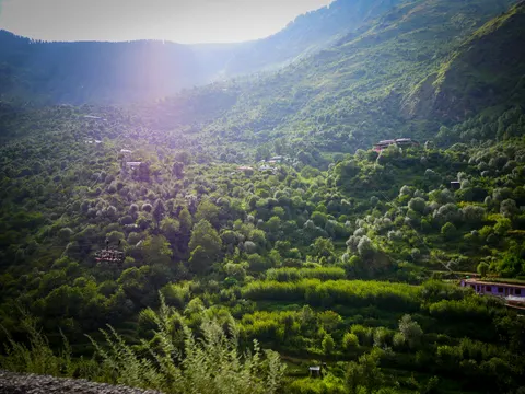 A hazy backlit view down into a wooded valley basin, orchard trees and scattered houses on both slopes, a cable carrying a small open cradle running across the middle of the frame and a lilac building at the lower right.
