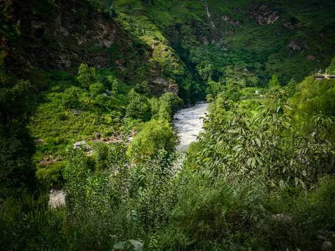 A fast white river running through a steep wooded gorge, rock faces on the left bank, terraced ground and a few buildings on the right slope and dense green foliage filling the foreground.