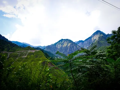 A wide view of green ridges under a bright white sky, a bare rocky peak at the right and a large pinnate leaf spreading across the lower right foreground.