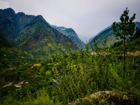 A deep green valley under grey cloud, a village with pink and white buildings on the middle slope at the right, terraced ground and a road cut below it, a young pine at the right edge and rough scrub filling the foreground.