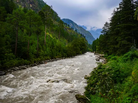 The same milky grey river running fast over rocks, pines and deodars on both banks, a green ridge in the middle distance and cloud filling the head of the valley.
