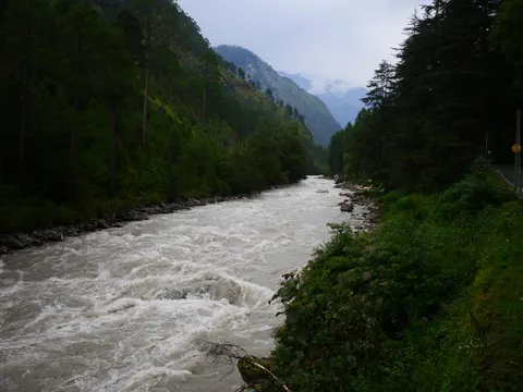 The river running white between forested banks, a road with a yellow sign and a post visible through the trees on the right and cloud sitting in the valley ahead.