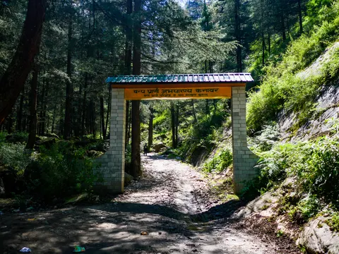 A painted concrete gateway carrying a Hindi sign for the Kanawar wildlife sanctuary, standing over a stony track with deodar forest either side and a figure walking away up the path beyond it.