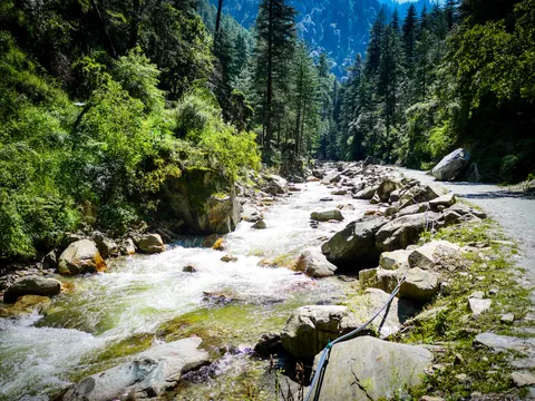 A stream breaking white over pale boulders with the stony track along the right bank, water pipes laid over the rocks and deodar forest climbing the slopes either side.