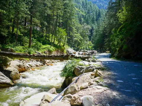 The track running along the right of the stream with felled trunks laid across the water as a crossing, black water pipes on the stones and steep pine slopes above.