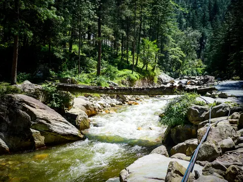 A rough bridge of trunks and stones spanning the stream, white water pouring under it and deodars standing on the grassy bank beyond.