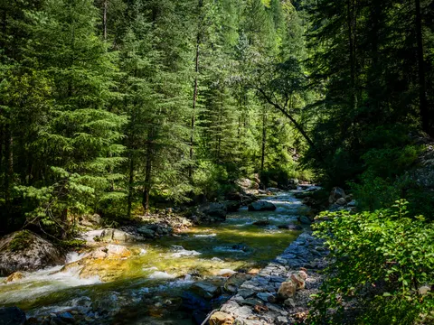 A clear stream running over slabs and stones through thick deodar forest, a stone-pitched bank along the right and a cairn built on it.