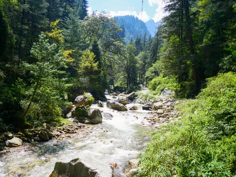 The stream running white between boulders with the trail on the far bank, deodars either side and a rock summit showing over the ridge ahead.
