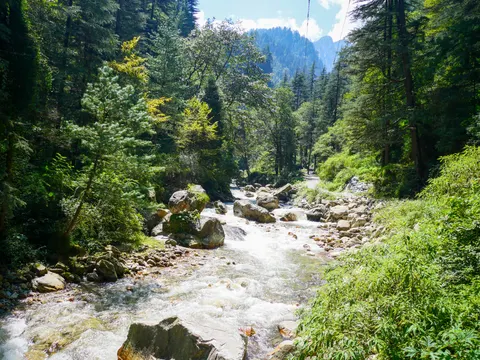 The same stretch of water framed a little differently, sunlit undergrowth along the right bank and the peak clearer above the trees.