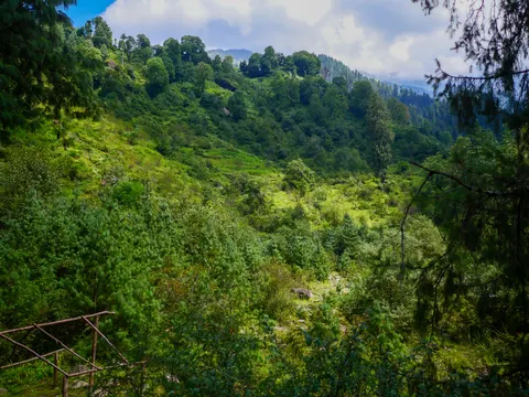The same side valley framed higher, blue sky and heavy cloud over the trees on the skyline and the cleared ground catching the light halfway up.