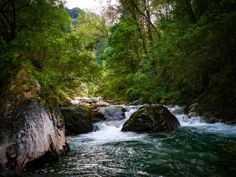 The same stretch of water with the mossy trunk at the left, white water breaking round the boulder and the stream running away into shade upstream.