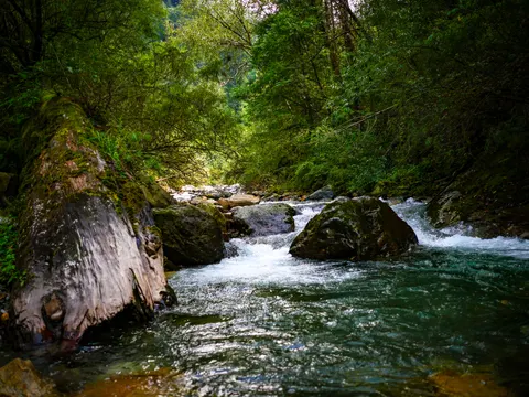 The fallen trunk filling the left of the frame, clear green water running over gravel in the foreground and the boulder and rapid beyond.