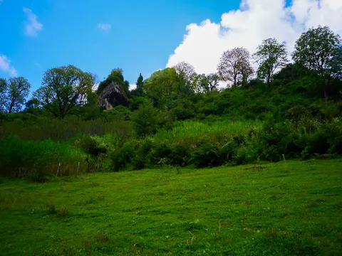 A slope of short green grass running up to rough scrub and ferns, a pale rock outcrop and big broadleaf trees along the skyline and heavy white cloud behind them.