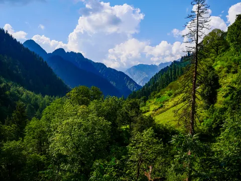 The valley framed wider, white cumulus filling the top of the picture, ridges falling away to the left and the pasture and dead conifer at the right.