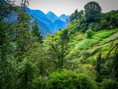 A wooded side valley with patches of bright green crop on the far slope, power lines running up to buildings on the ridge and blue peaks behind under white sky.