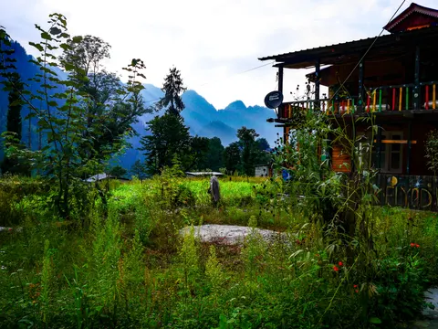 The guesthouse from the same spot with the peaks paler behind, red flowers in the grass at the right and a figure walking away through the weeds.