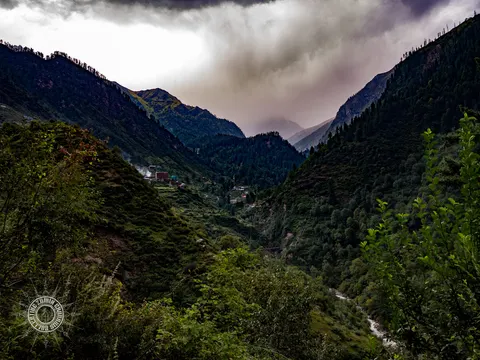 Shadowed V-shaped mountain valley with scattered plants in the foreground.
