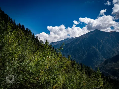 Lapas cannabis field under bright clouds on a steep mountainside.