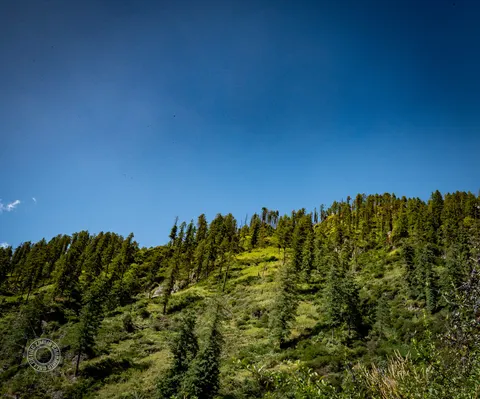 Forested mountain ridge above Lapas fields and a cloudless sky.