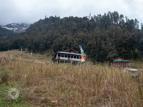 Cannabis field beside a long low mountain house.