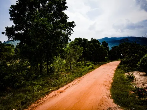 A red laterite road running between trees towards hills under heavy cloud.