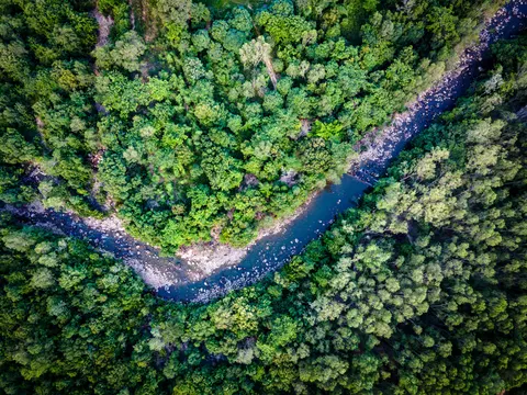 A stony river bending through unbroken forest canopy, seen from directly above.