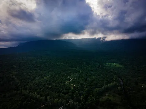 A forested massif under heavy overcast, a track and a river threading the trees on the flat below.