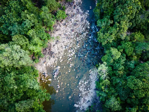 A shallow river running over a wide bed of pale boulders between two walls of forest, seen from above.