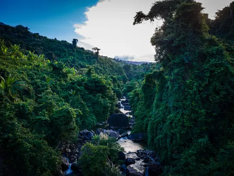 A steep forested gorge with a stream running over boulders along its floor.
