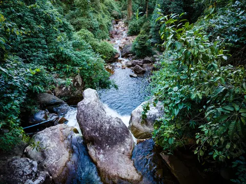 A stream running white over large boulders in a narrow forested gully.