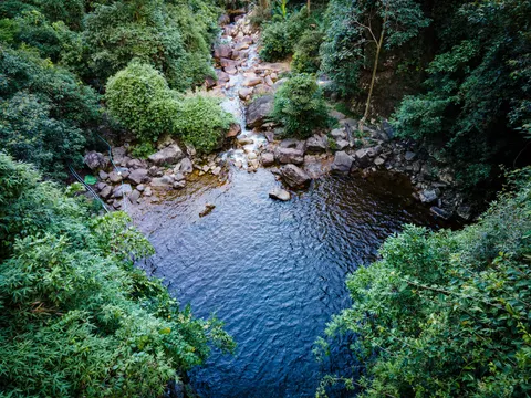 A clear pool in a rocky streambed, forest closing over it on both sides.
