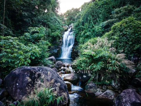 A waterfall falling in a single thread into a boulder-strewn pool, dense forest and bamboo around it.
