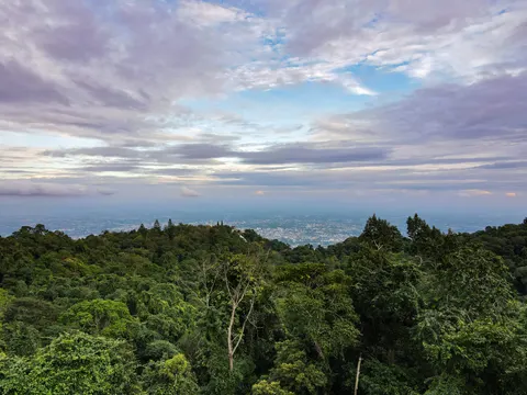 Forest canopy on a hill slope, the plain and its haze beyond, under a striped dawn sky.