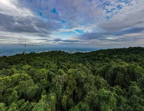A forested ridge with a communications mast on its summit, the plain lying beyond it.