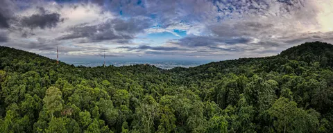 A wide panorama of forested hills, a mast on the skyline and the plain fading into haze.