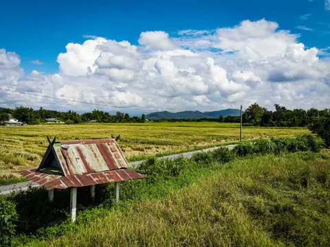 A small field shrine roofed in rusted metal, standing beside a track at the edge of a harvested rice field.