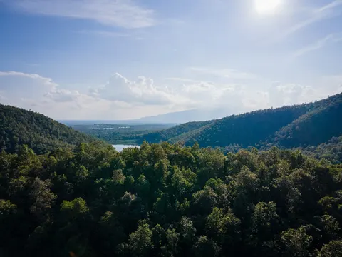 Forested hills falling towards a lake and the plain beyond, the sun high.