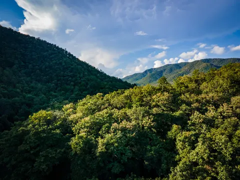 A forested slope falling into a valley, cloud building over the far ridge.