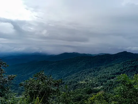 Layered forested hills seen from a ridge under low grey cloud.