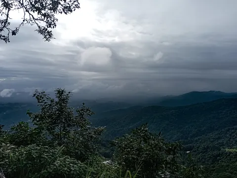 Forested hills from a ridge, branches in the foreground and rain cloud overhead.